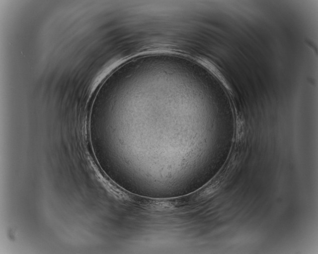 X0000100961101200806241521
