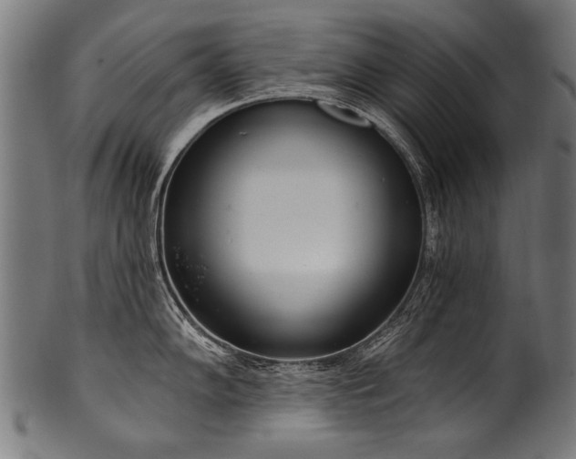 X0000100961102200806241521