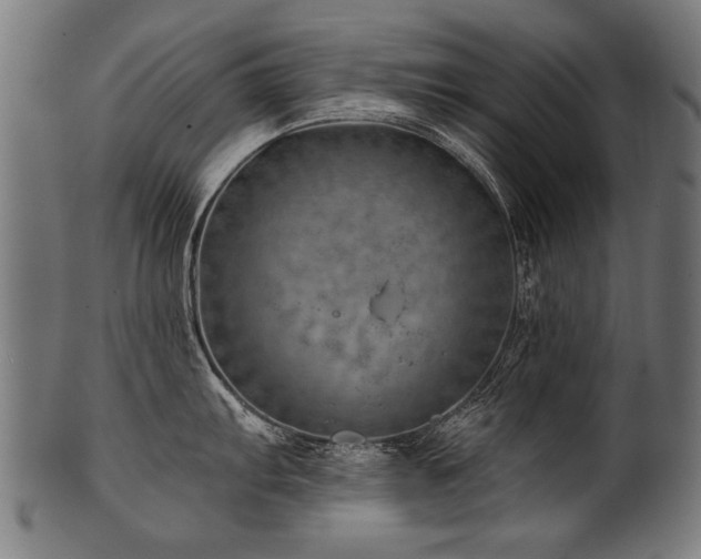 X0000100961103200806241521