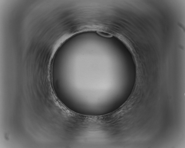 X0000100961104200806241521