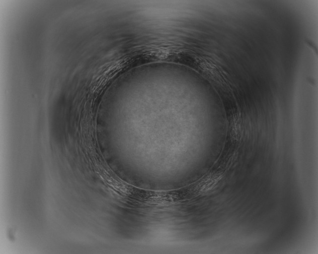 X0000100961105200806241520