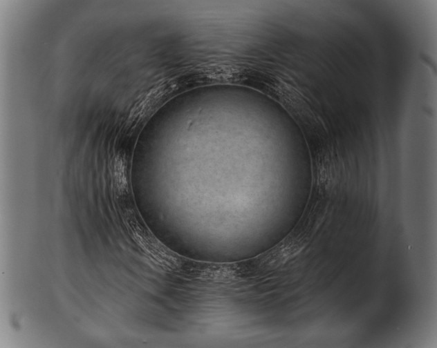 X0000100961106200806241520