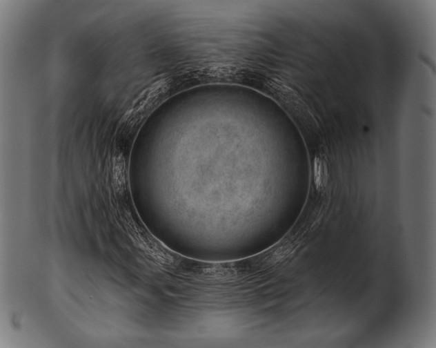 X0000100961107200806241520
