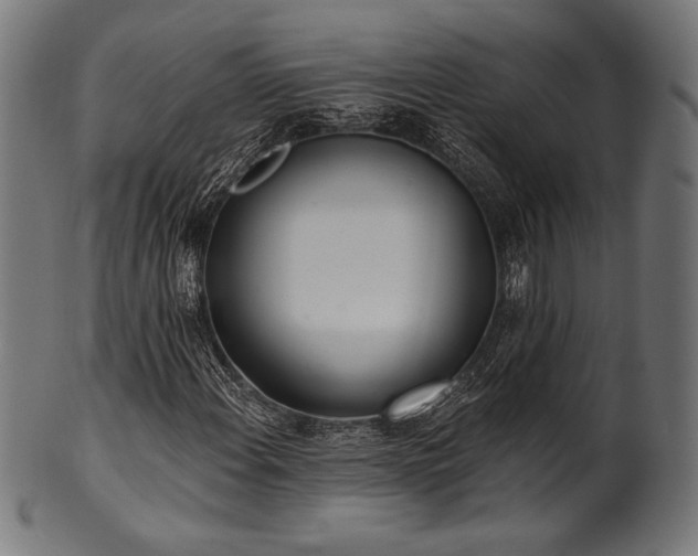 X0000100961108200806241520