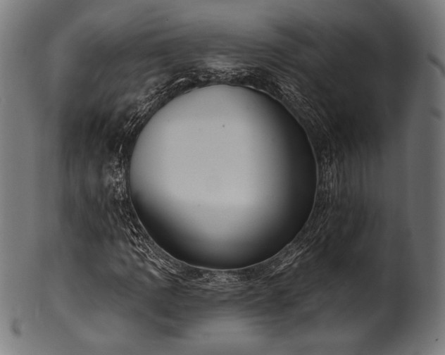 X0000100961109200806241520