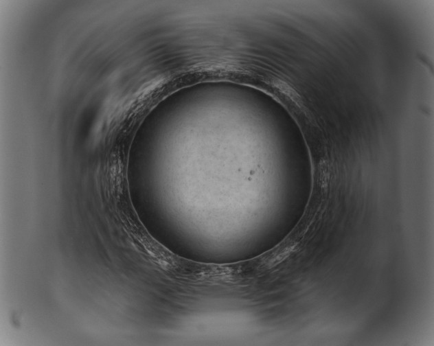X0000100961111200806241520