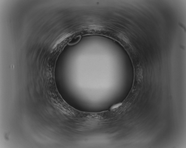 X0000100961112200806241520
