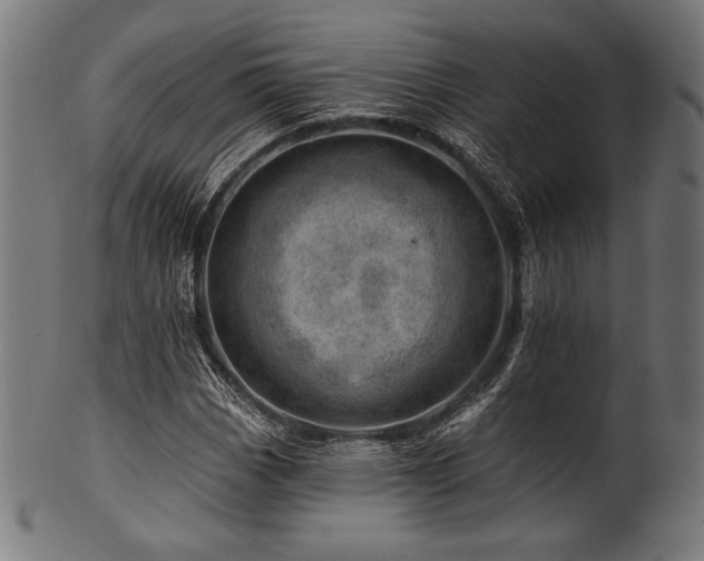 X0000100961113200806241520