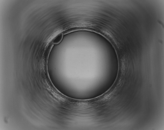 X0000100961114200806241521