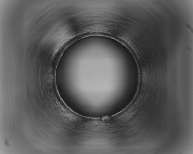X0000100961115200806241521