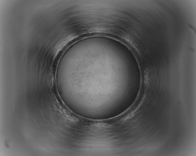 X0000100961117200806241521