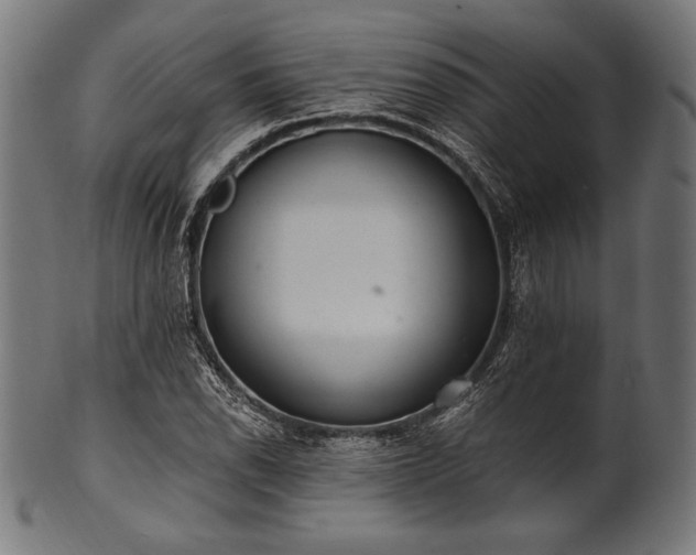 X0000100961118200806241521
