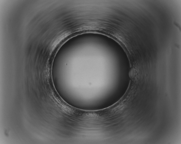 X0000100961119200806241521