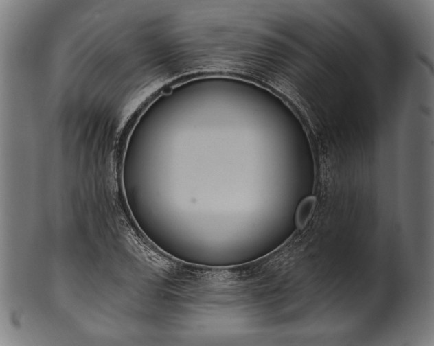 X0000100961120200806241521