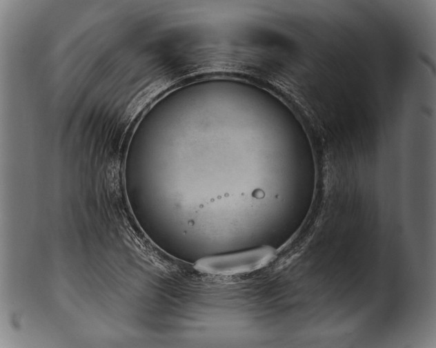 X0000100961121200806241521