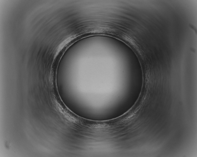X0000100961122200806241521