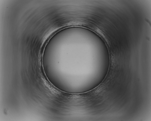 X0000100961124200806241521