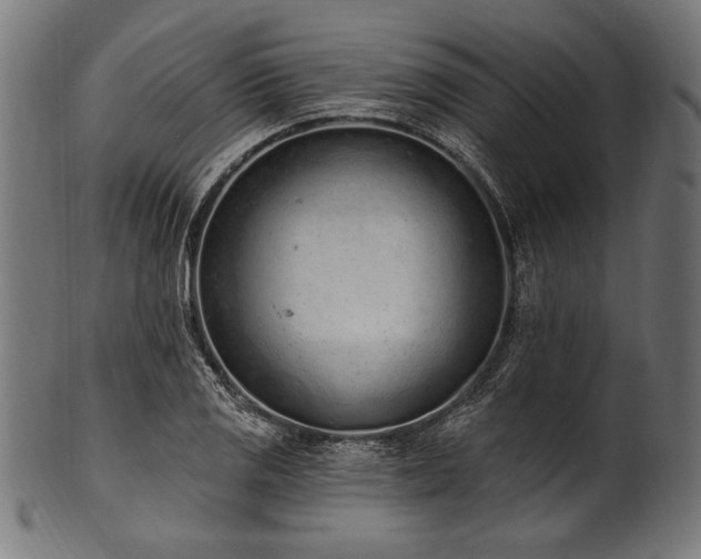 X0000100961125200806241521