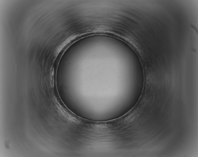 X0000100961126200806241521