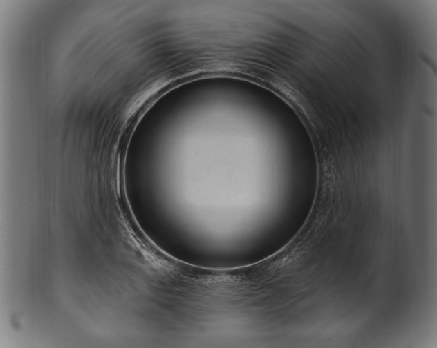 X0000100961127200806241521
