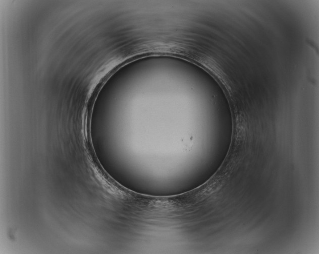X0000100961128200806241521