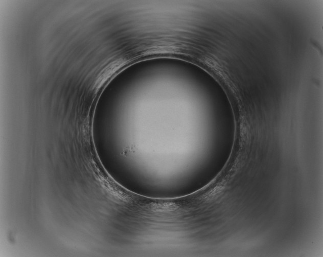 X0000100961129200806241521