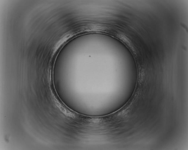 X0000100961130200806241521