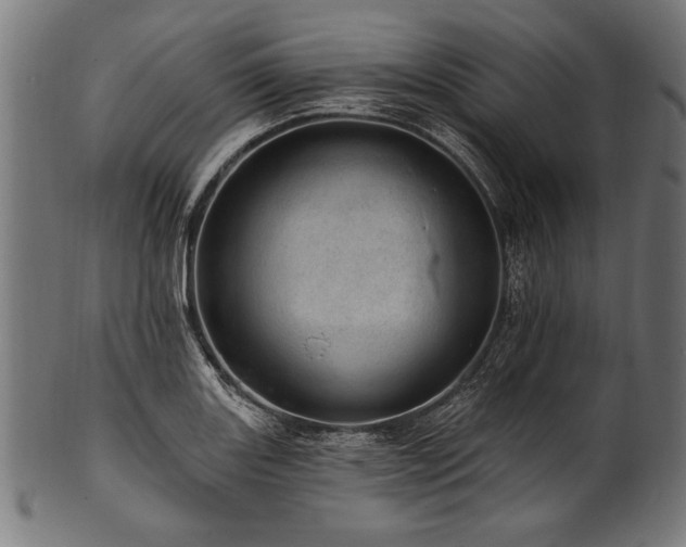 X0000100961131200806241521