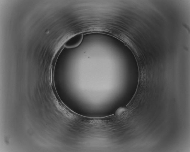 X0000100961132200806241521