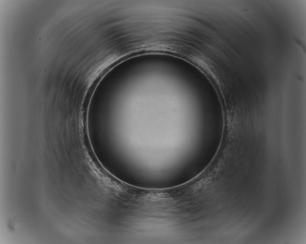 X0000100961133200806241521