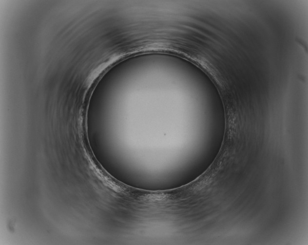 X0000100961134200806241521