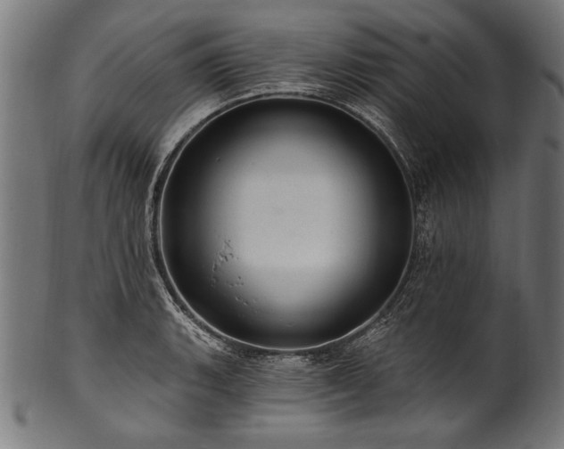 X0000100961135200806241521
