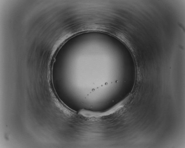 X0000100961136200806241521