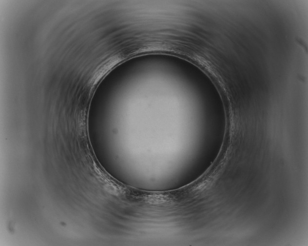 X0000100961137200806241521
