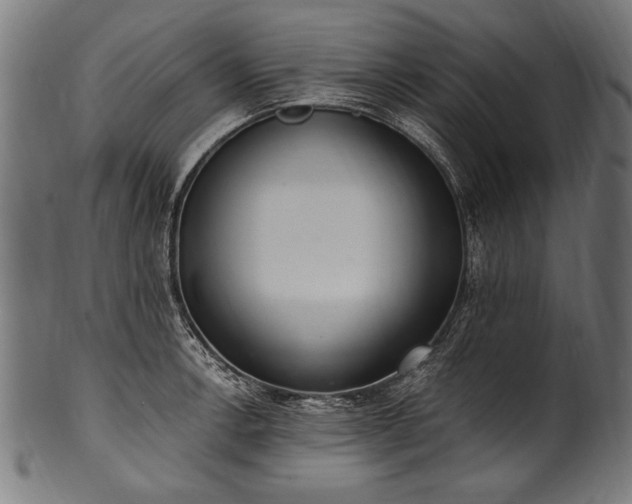 X0000100961138200806241521