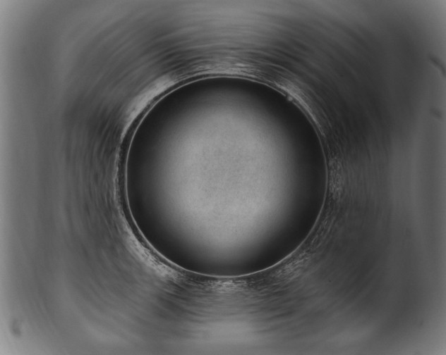 X0000100961139200806241521