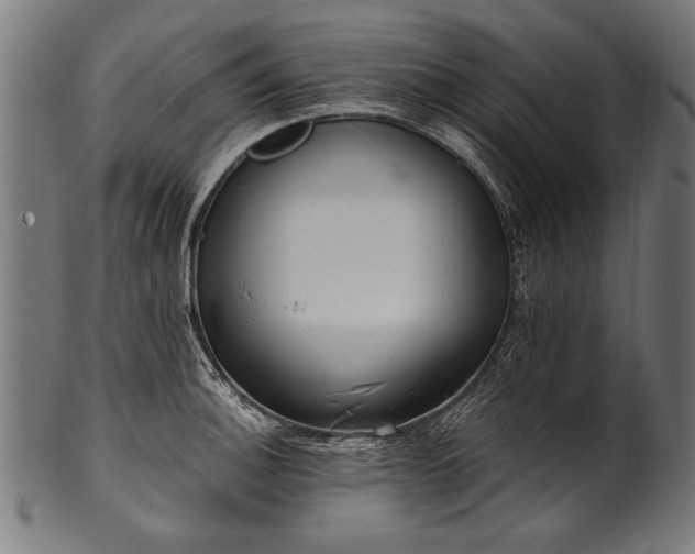 X0000100961140200806241521