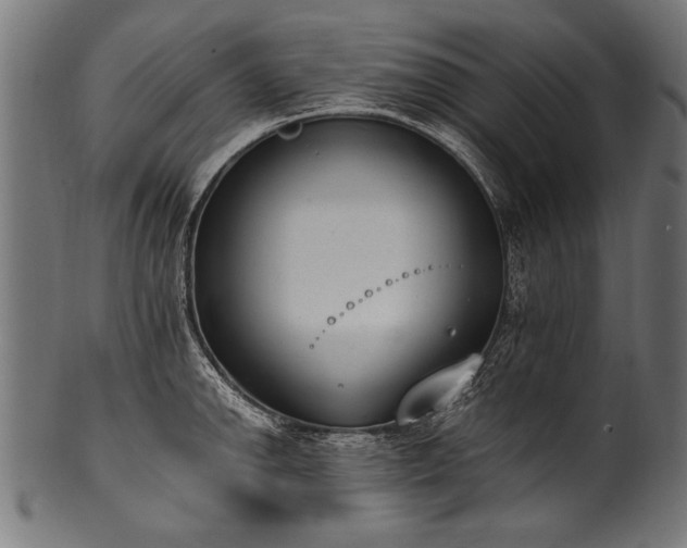 X0000100961142200806241521