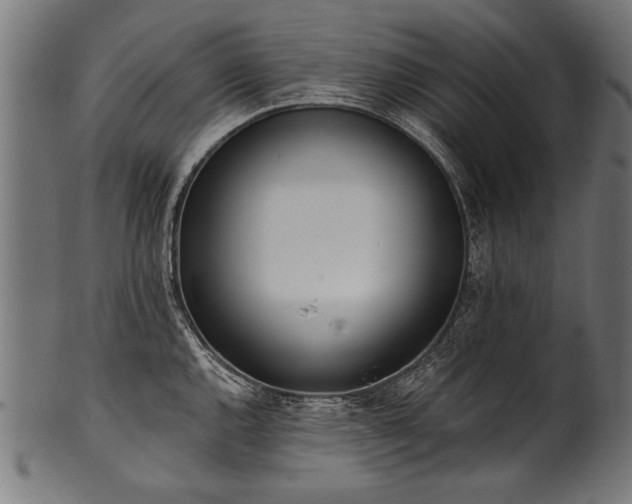 X0000100961144200806241521