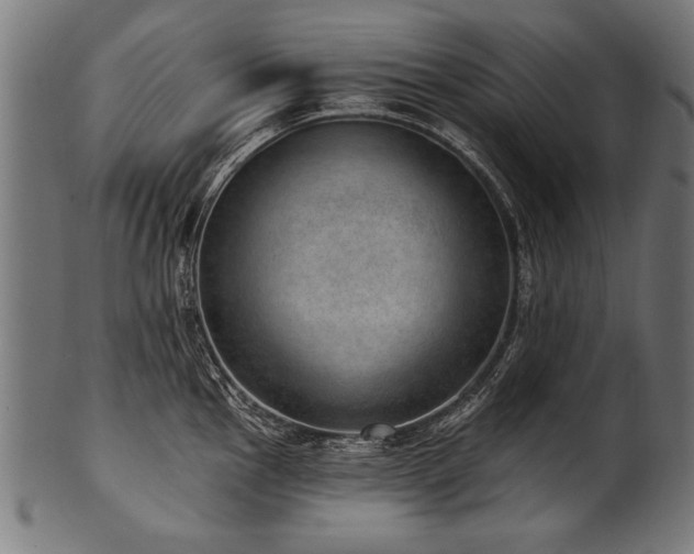 X0000100961145200806241521