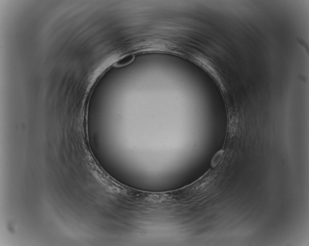 X0000100961146200806241521