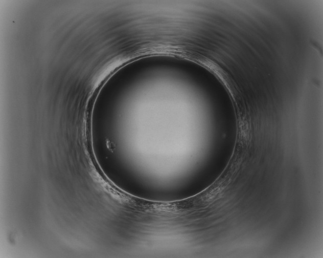 X0000100961147200806241521