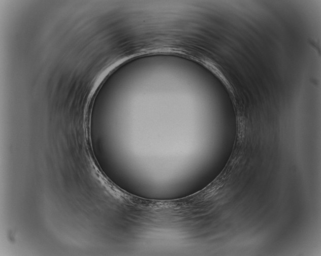 X0000100961148200806241521