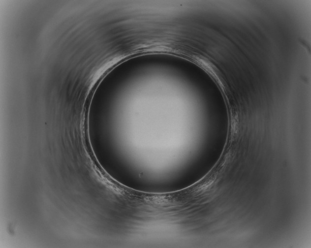 X0000100961149200806241521