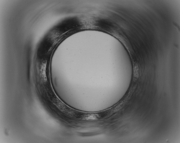 X0000100961150200806241521