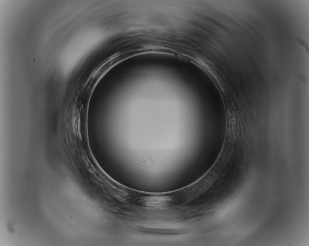 X0000100961151200806241521