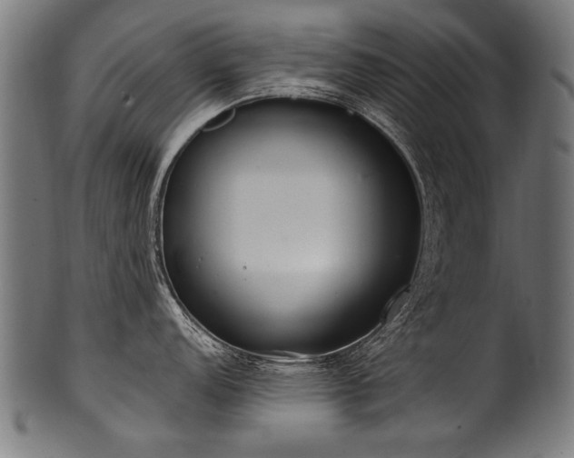 X0000100961152200806241521