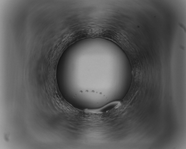X0000100961153200806241520