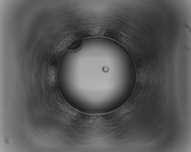 X0000100961154200806241520