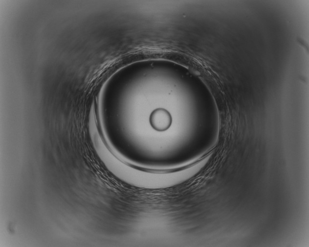 X0000100961157200806241520